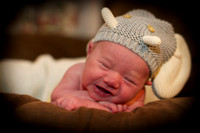 Holden Gregory's Newborn Session!